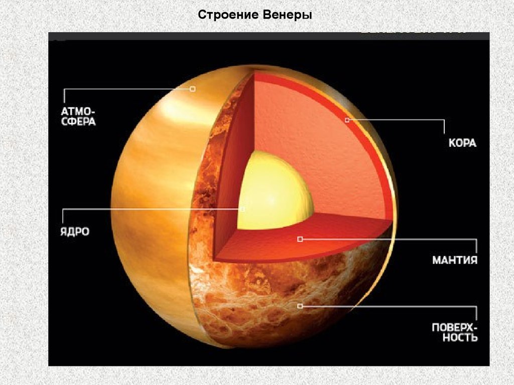 Строение венеры картинка